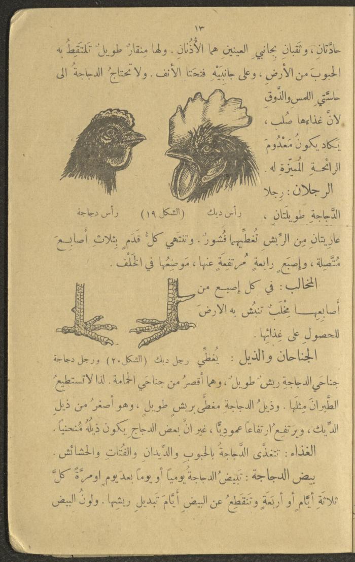 Biology Book, the 1920s and 1940s