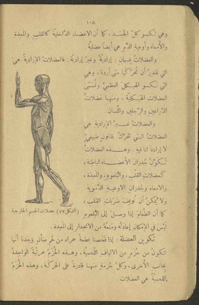 Biology Book, the 1920s and 1940s
