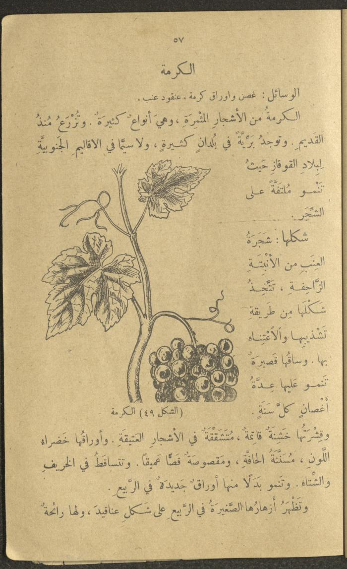 Biology Book, the 1920s and 1940s