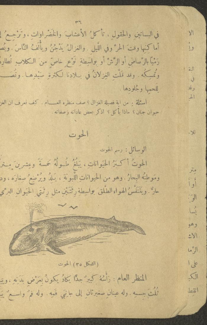 Biology Book, the 1920s and 1940s