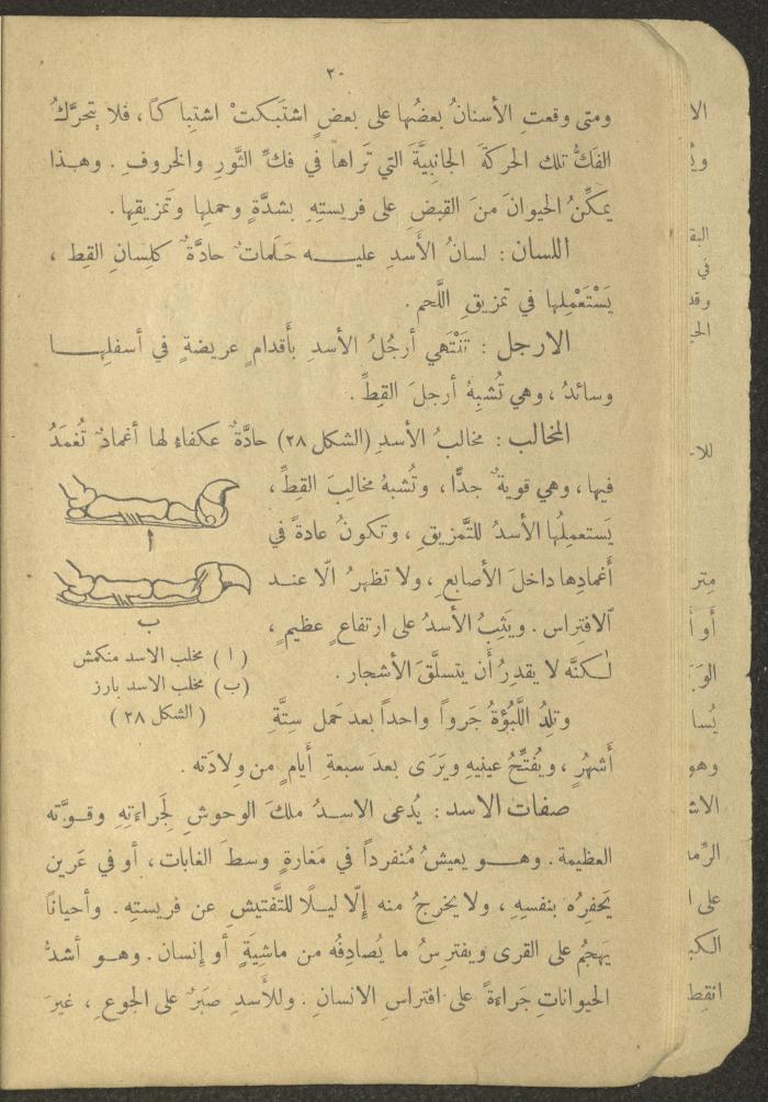 Biology Book, the 1920s and 1940s