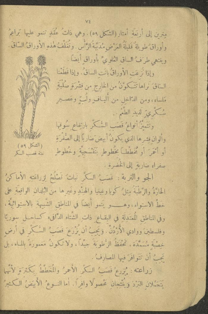 Biology Book, the 1920s and 1940s