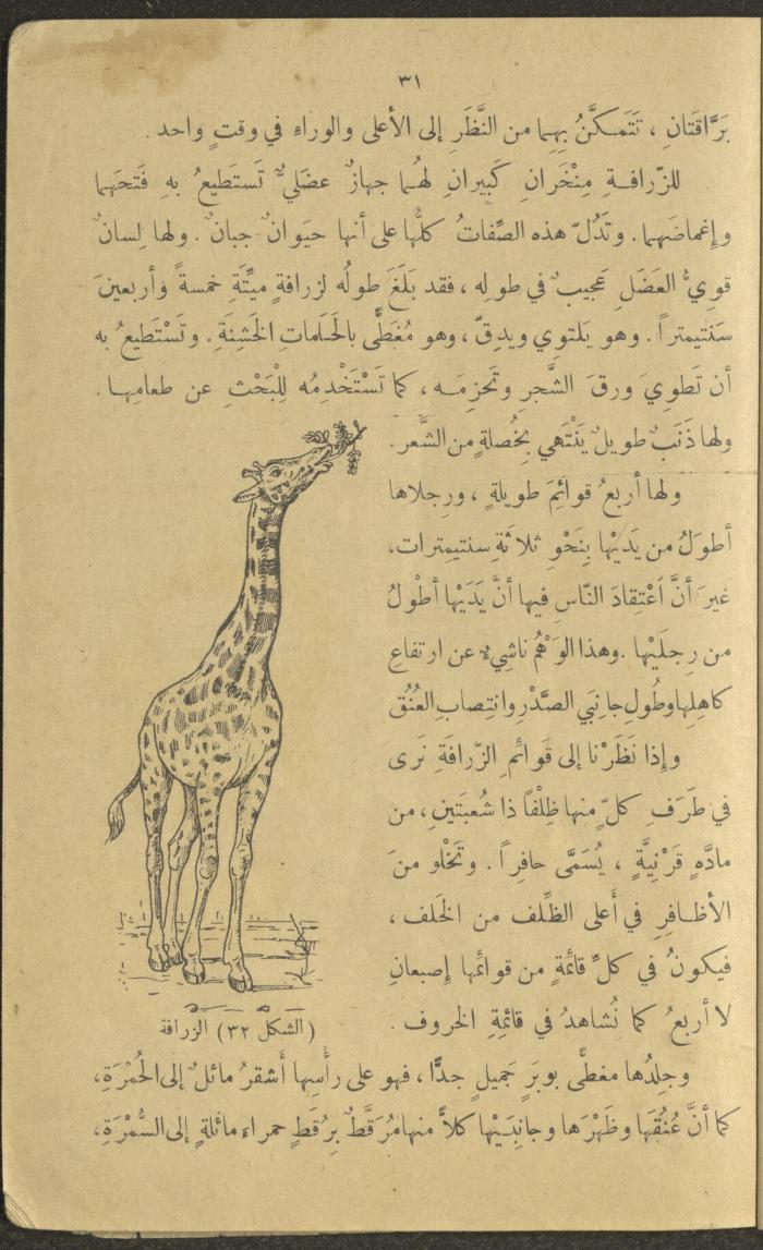 Biology Book, the 1920s and 1940s
