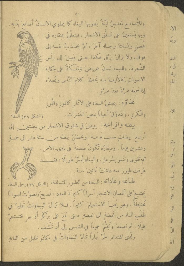 Biology Book, the 1920s and 1940s