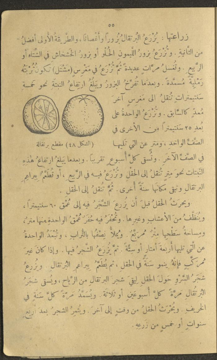 Biology Book, the 1920s and 1940s
