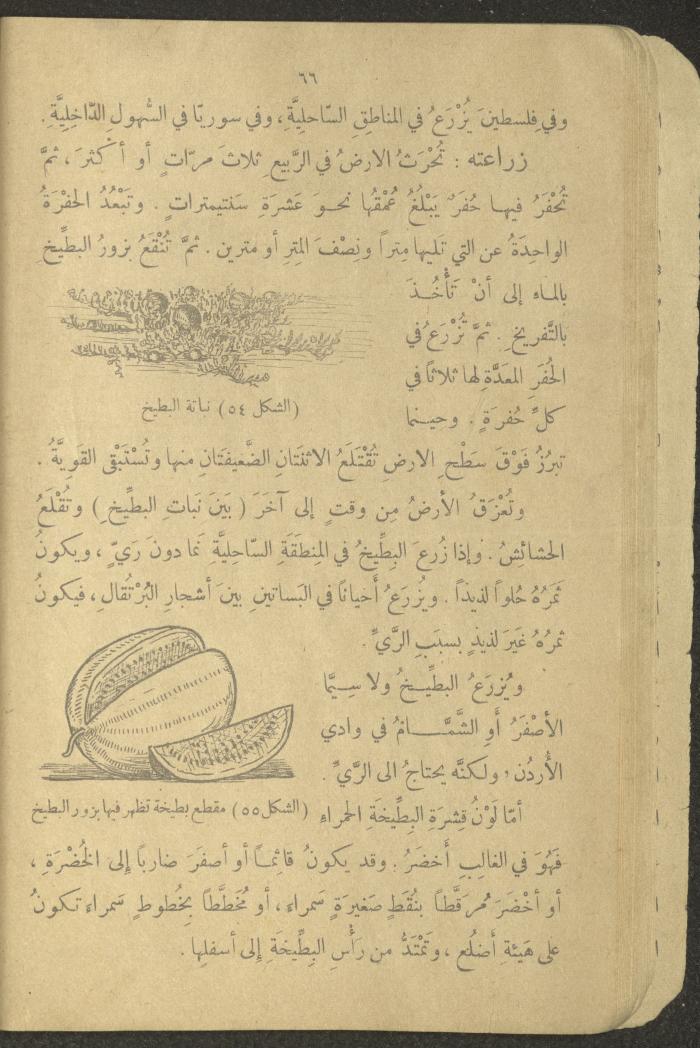 Biology Book, the 1920s and 1940s