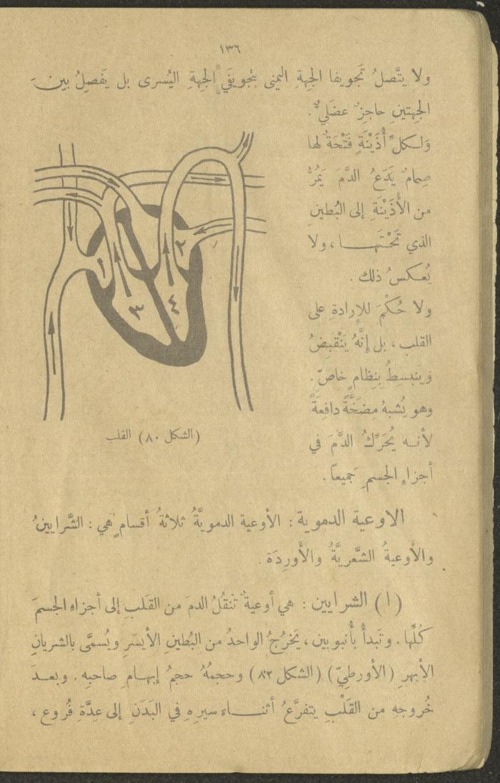 Biology Book, the 1920s and 1940s