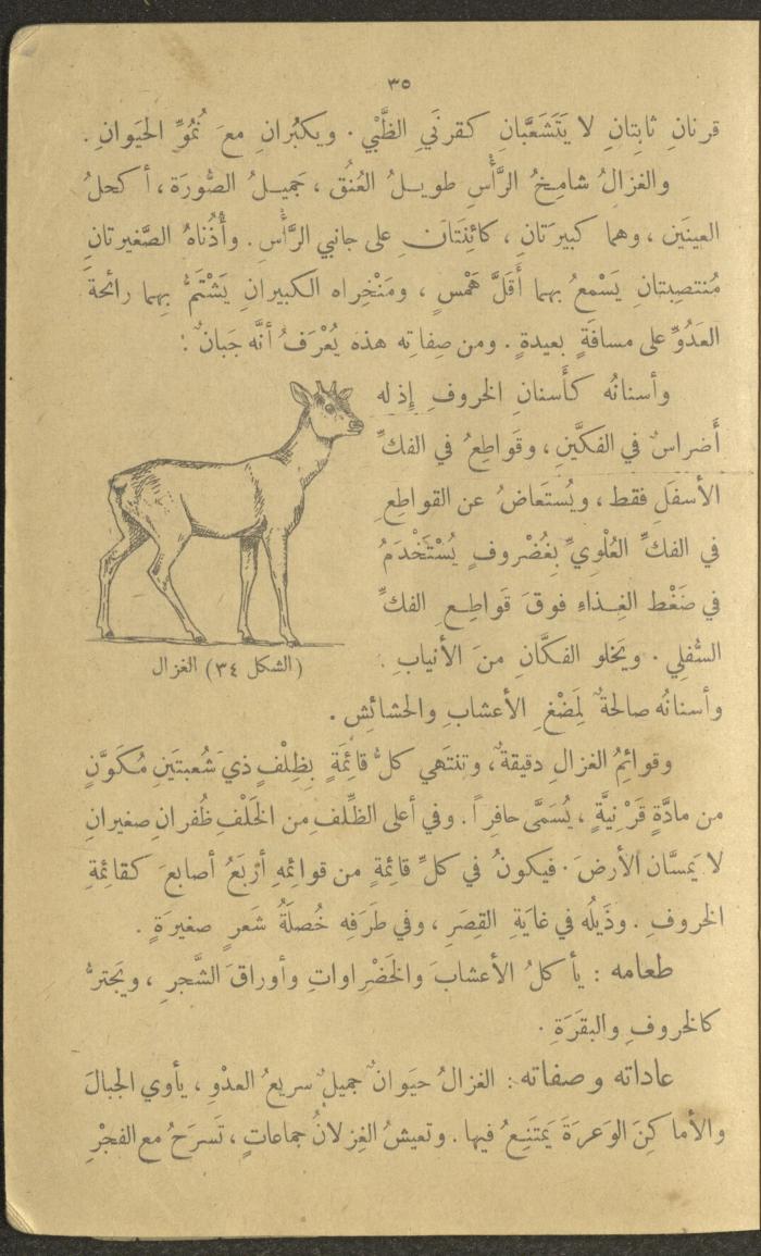 Biology Book, the 1920s and 1940s
