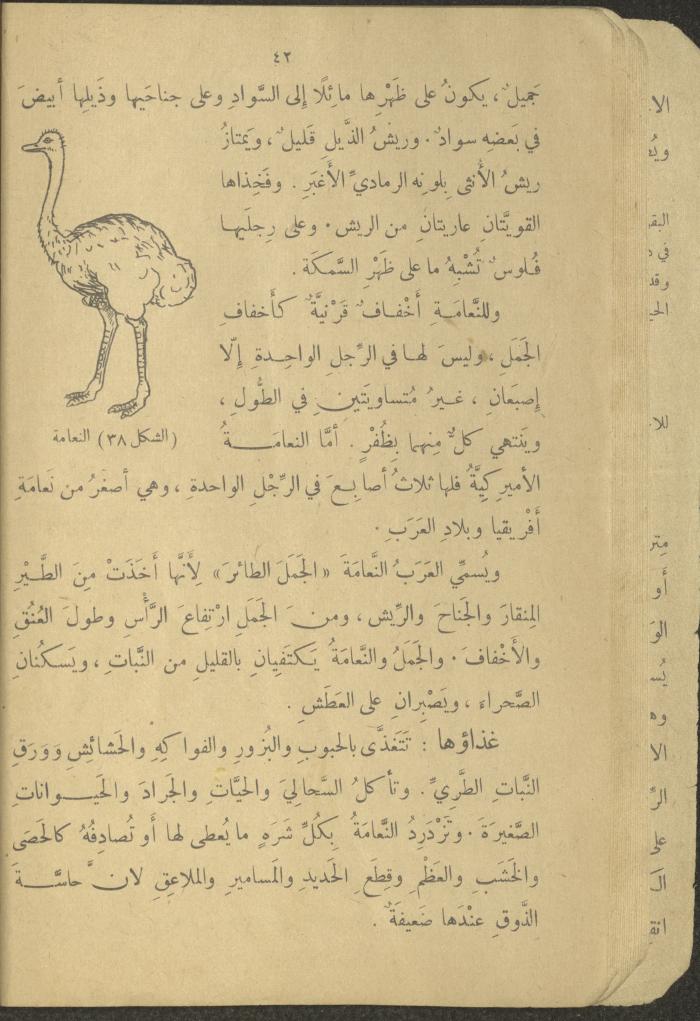 Biology Book, the 1920s and 1940s