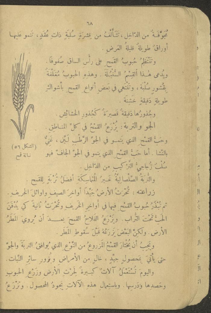 Biology Book, the 1920s and 1940s