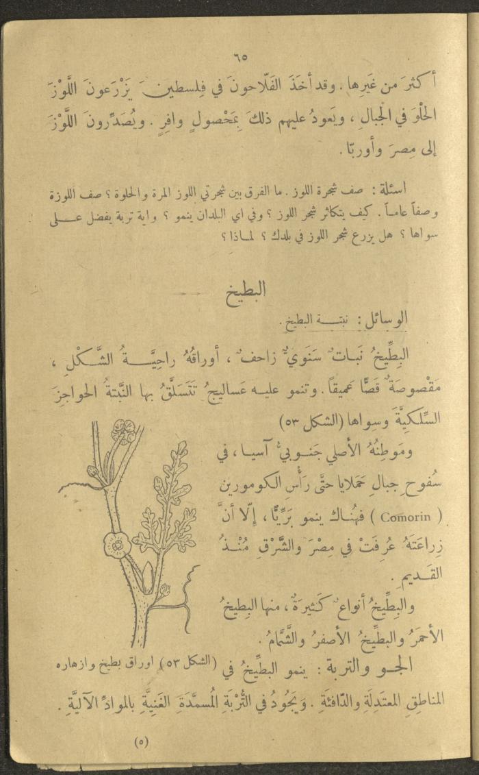 Biology Book, the 1920s and 1940s