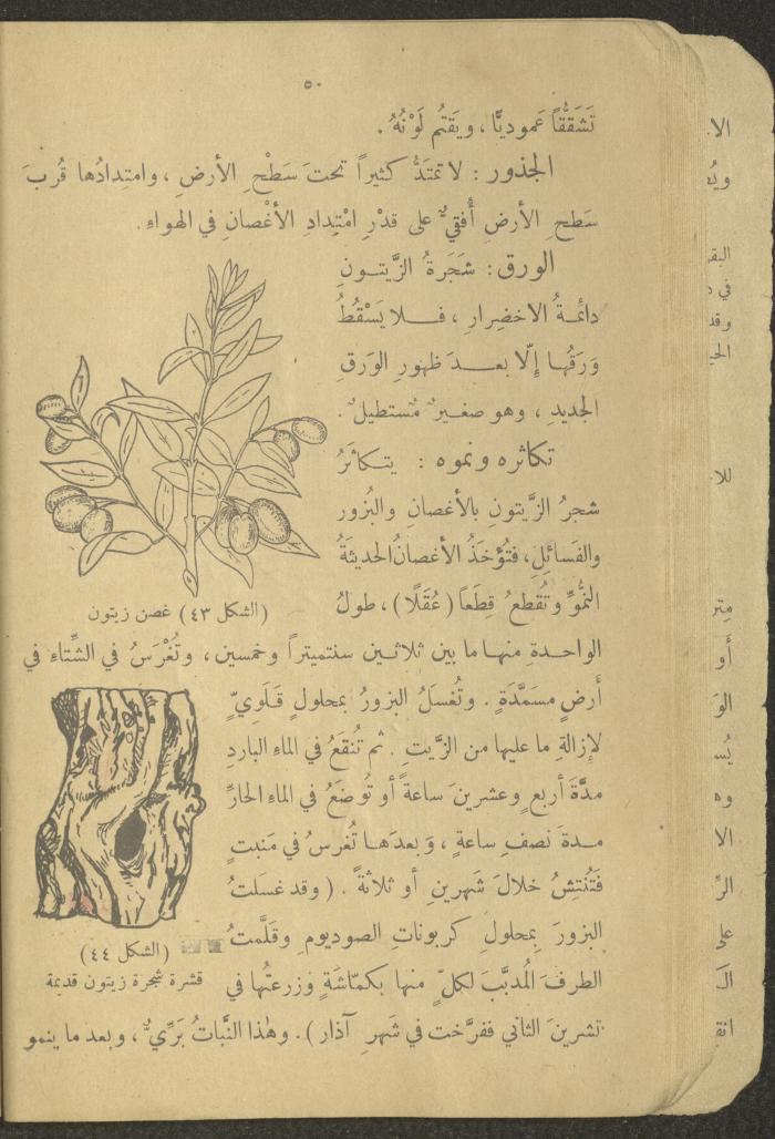 Biology Book, the 1920s and 1940s