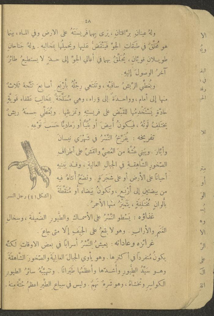 Biology Book, the 1920s and 1940s