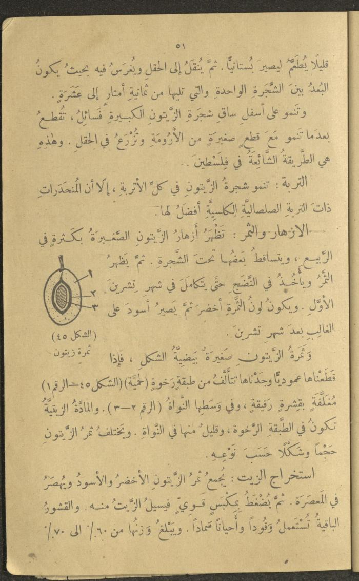 Biology Book, the 1920s and 1940s