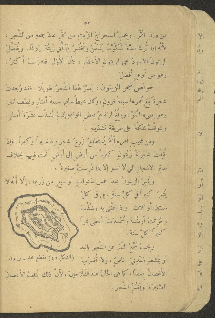 Biology Book, the 1920s and 1940s