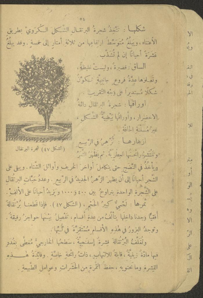 Biology Book, the 1920s and 1940s