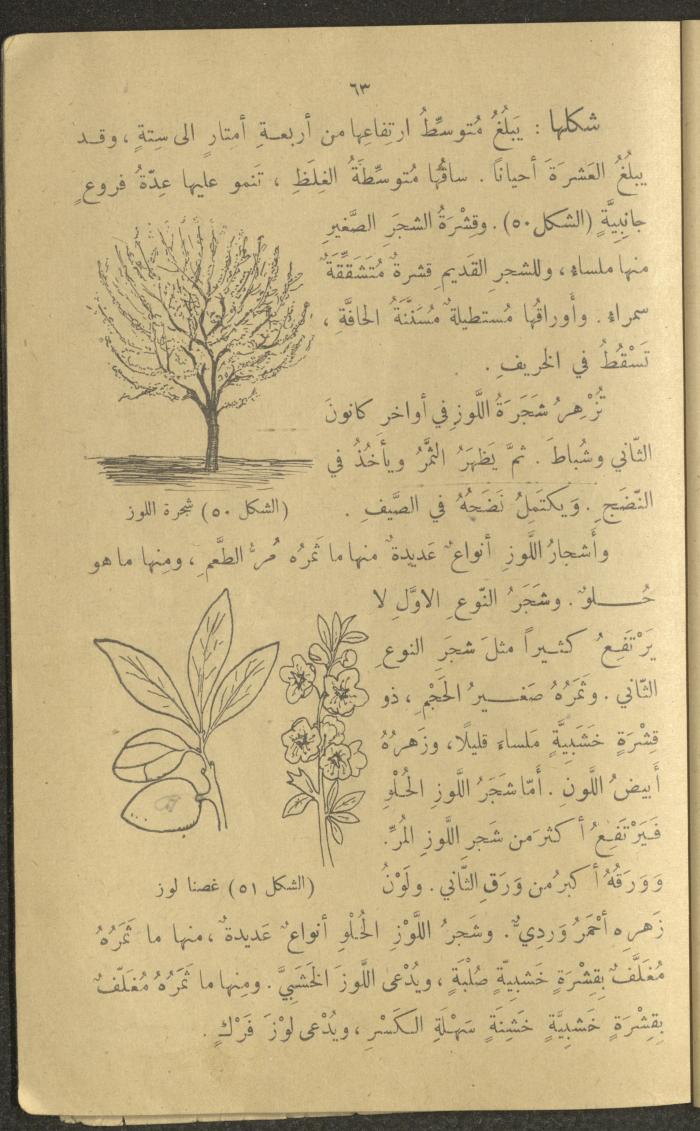 Biology Book, the 1920s and 1940s
