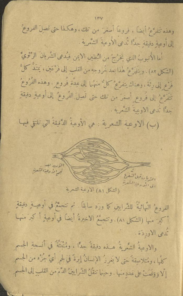 Biology Book, the 1920s and 1940s