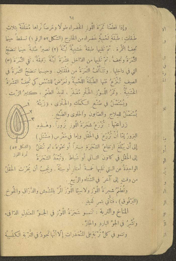 Biology Book, the 1920s and 1940s