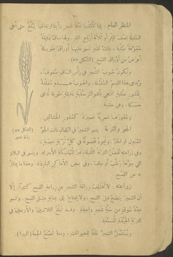 Biology Book, the 1920s and 1940s