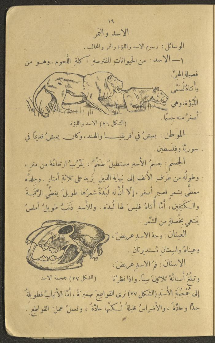 Biology Book, the 1920s and 1940s