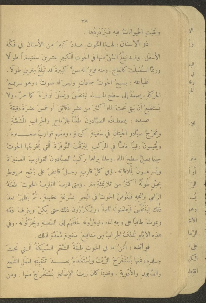Biology Book, the 1920s and 1940s