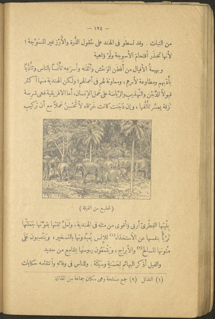 Volume II of the Book 