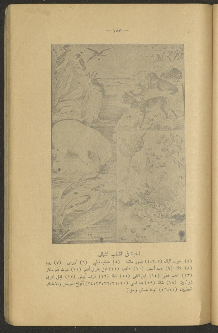 Volume II of the Book 