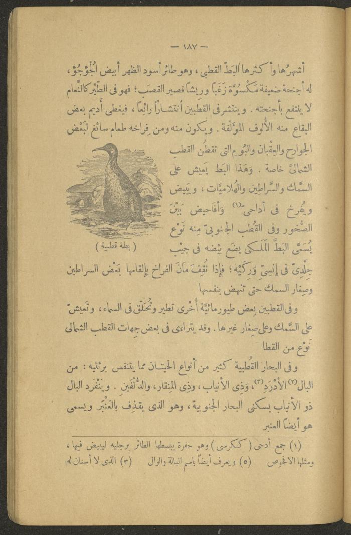 Volume II of the Book 