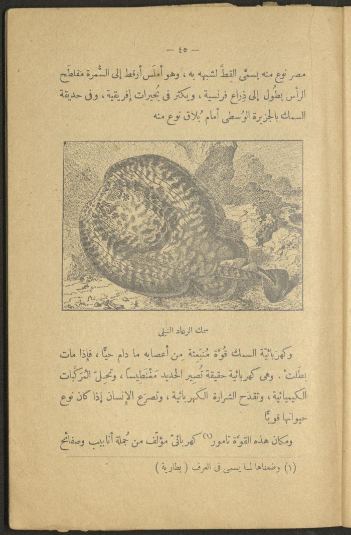 Volume II of the Book 