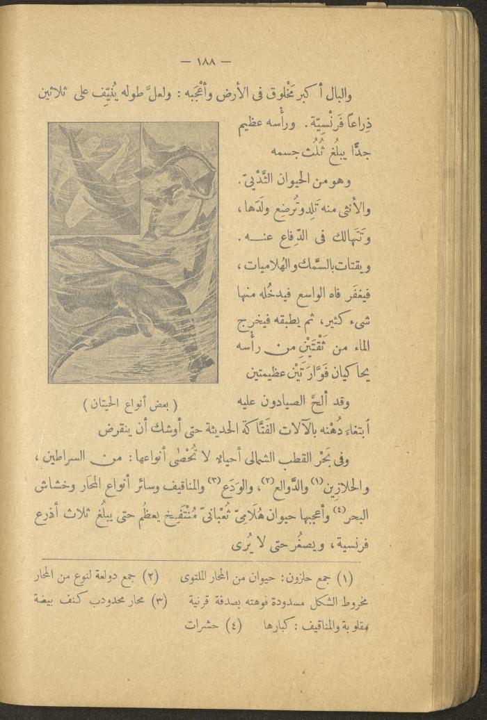 Volume II of the Book 