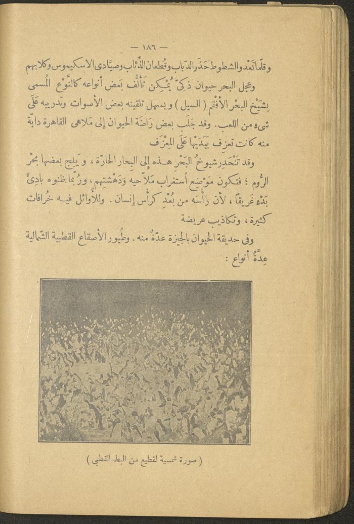 Volume II of the Book 