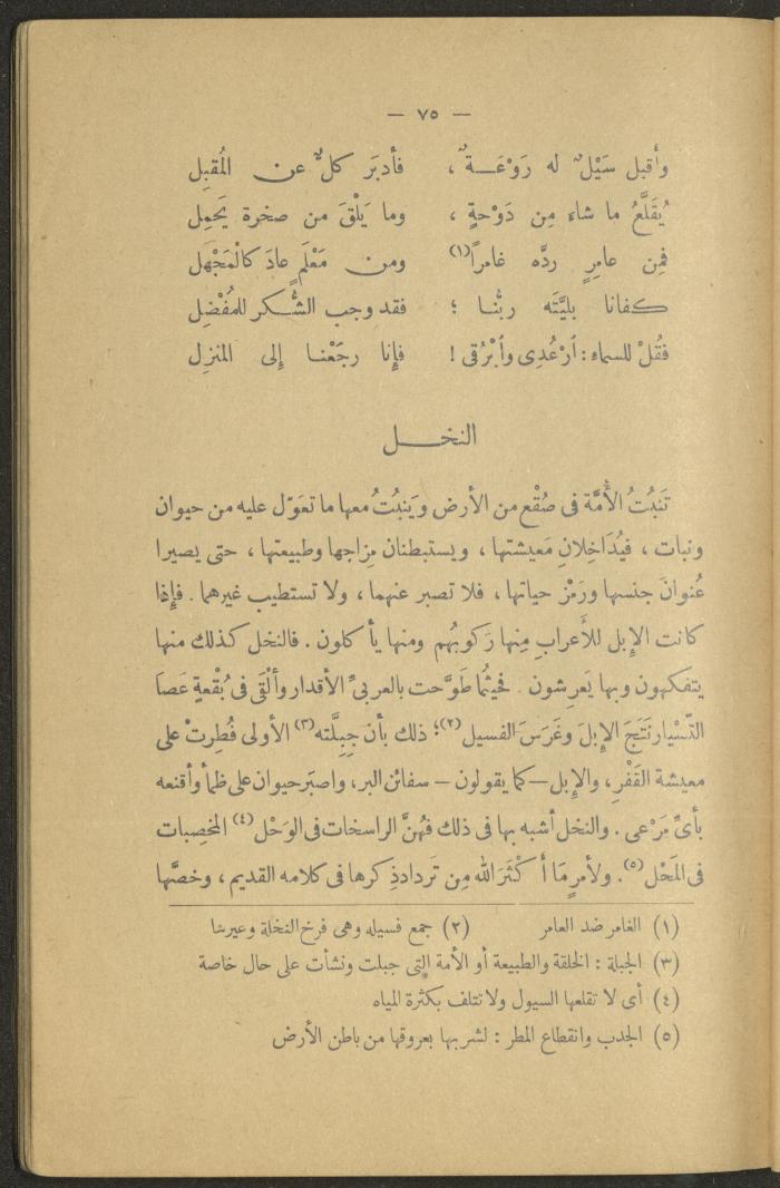 Volume II of the Book 