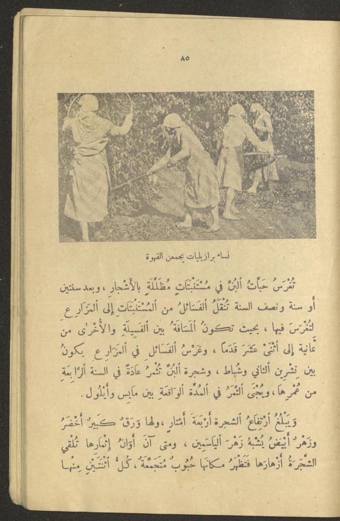Part of the Book 