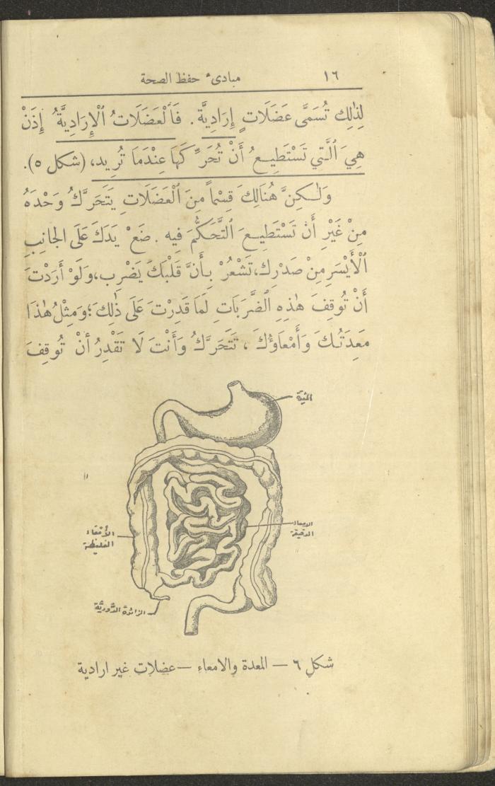 الجزء الأول من كتاب 