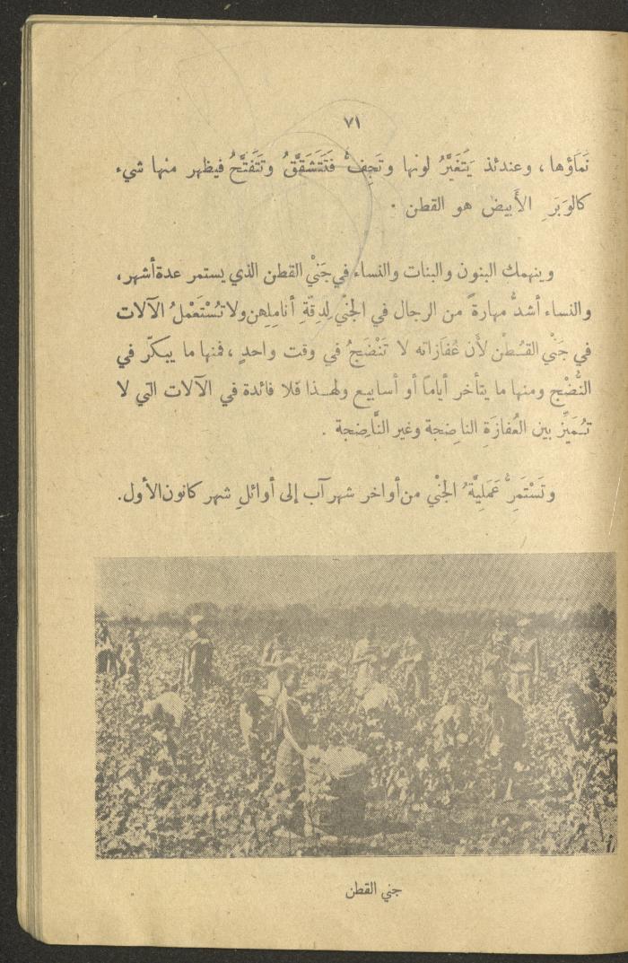 Part of the Book 