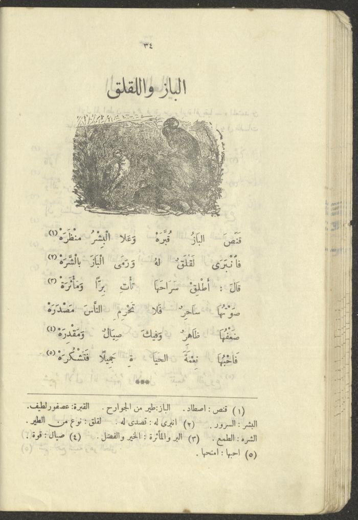 The Book 