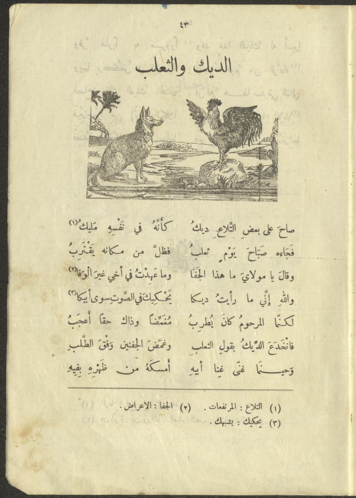 The Book 