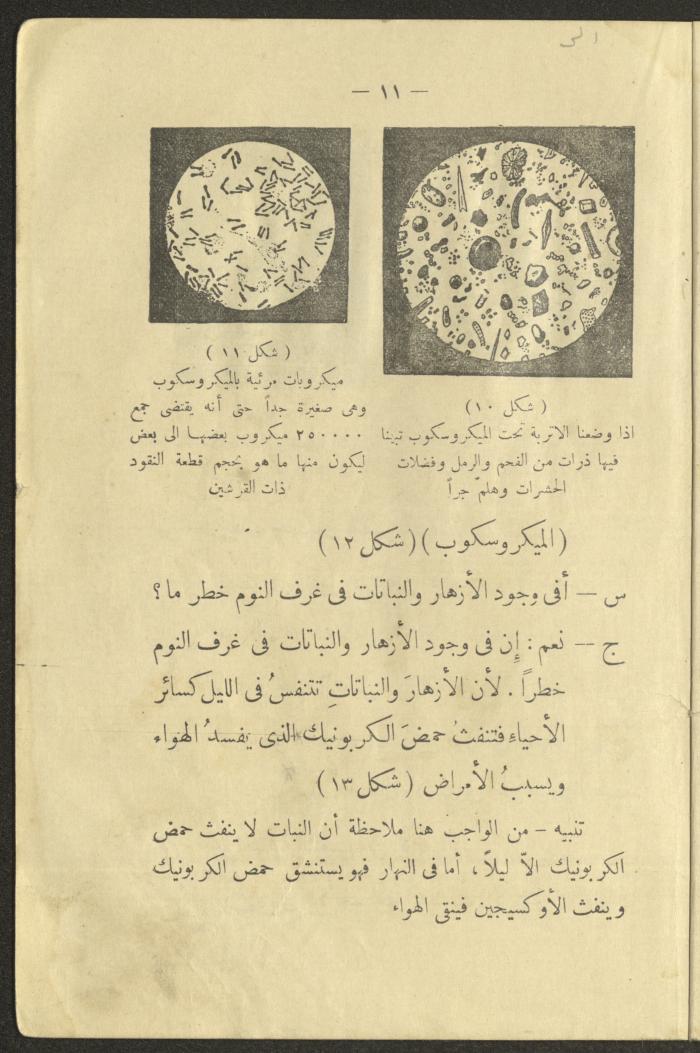The Book 