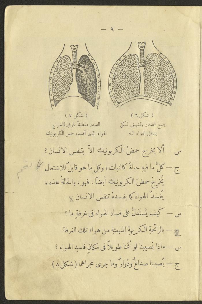 The Book 