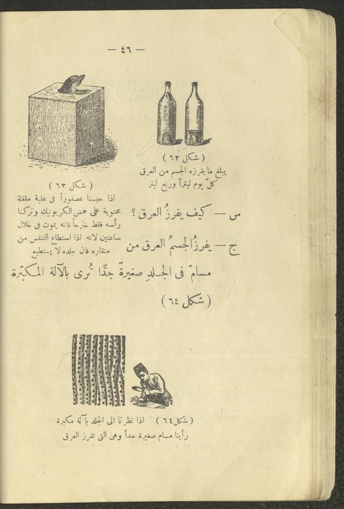 The Book 