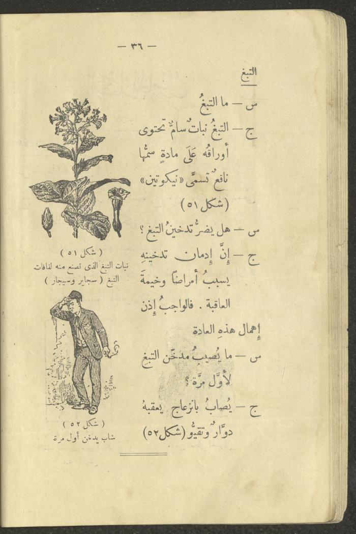 The Book 