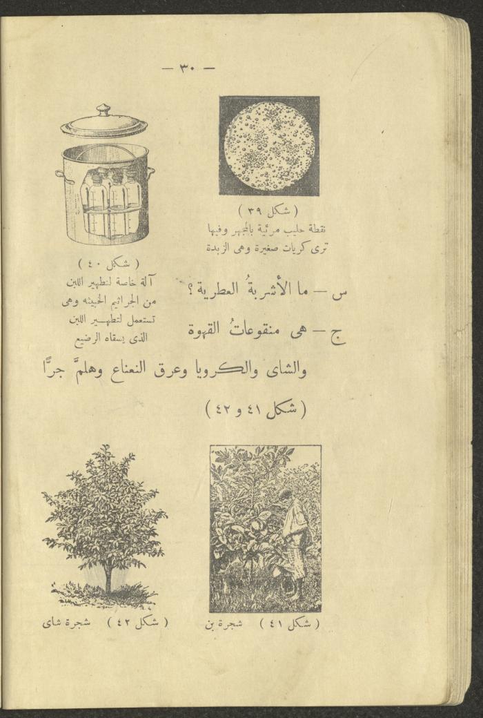 The Book 