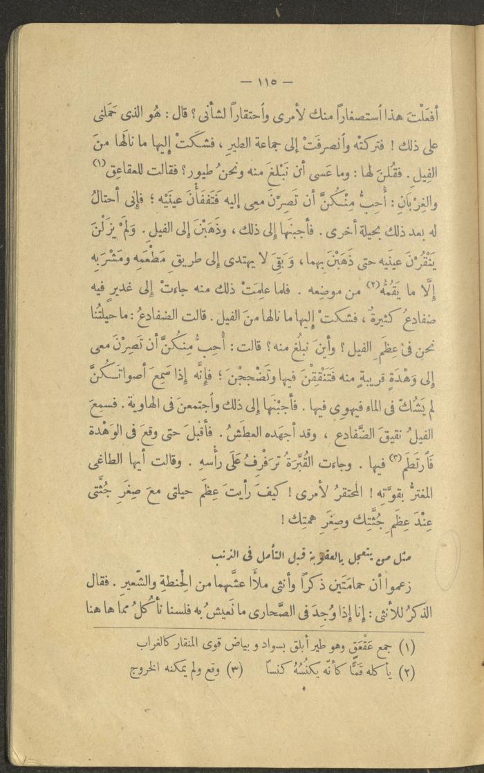 A Book Titled 