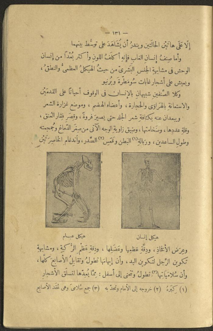 A Book Titled 