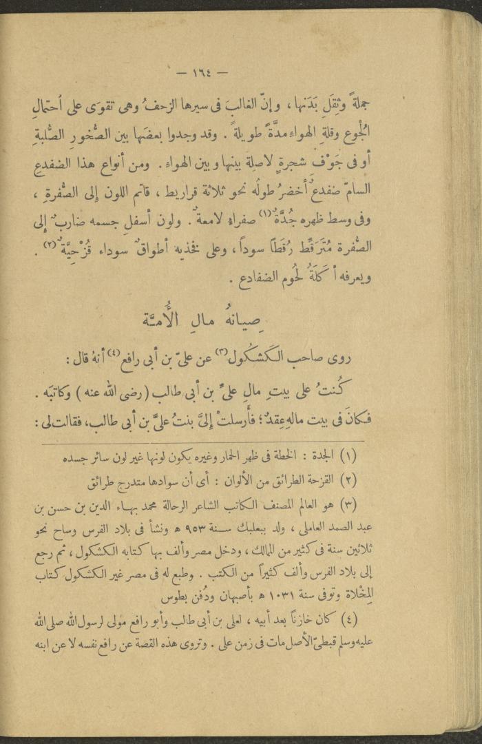 A Book Titled 