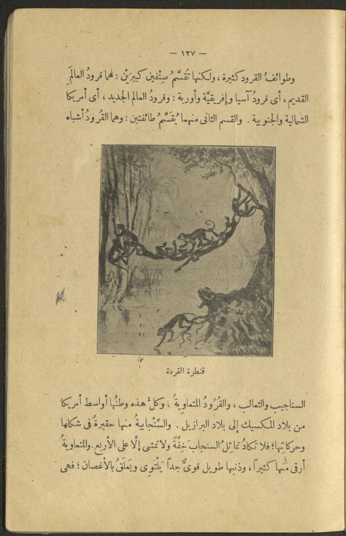 A Book Titled 