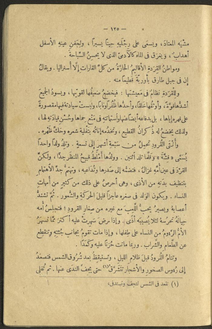 A Book Titled 