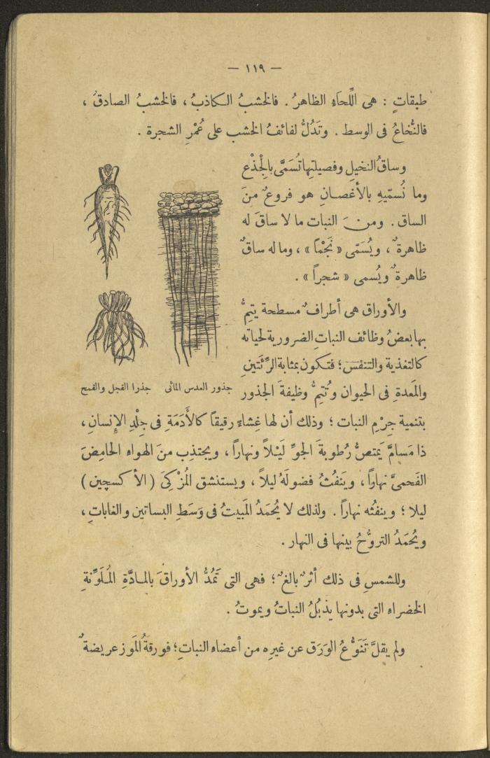 A Book Titled 