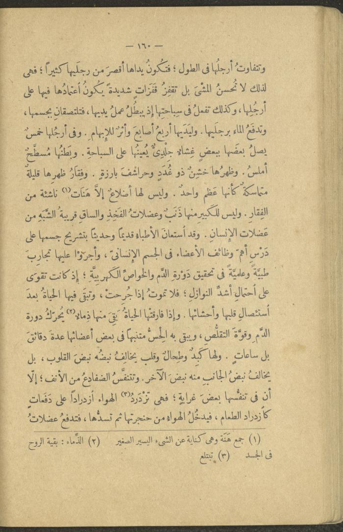 A Book Titled 